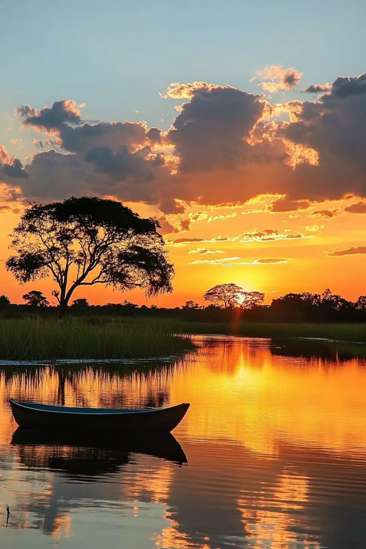 The Pantanal - Brazil